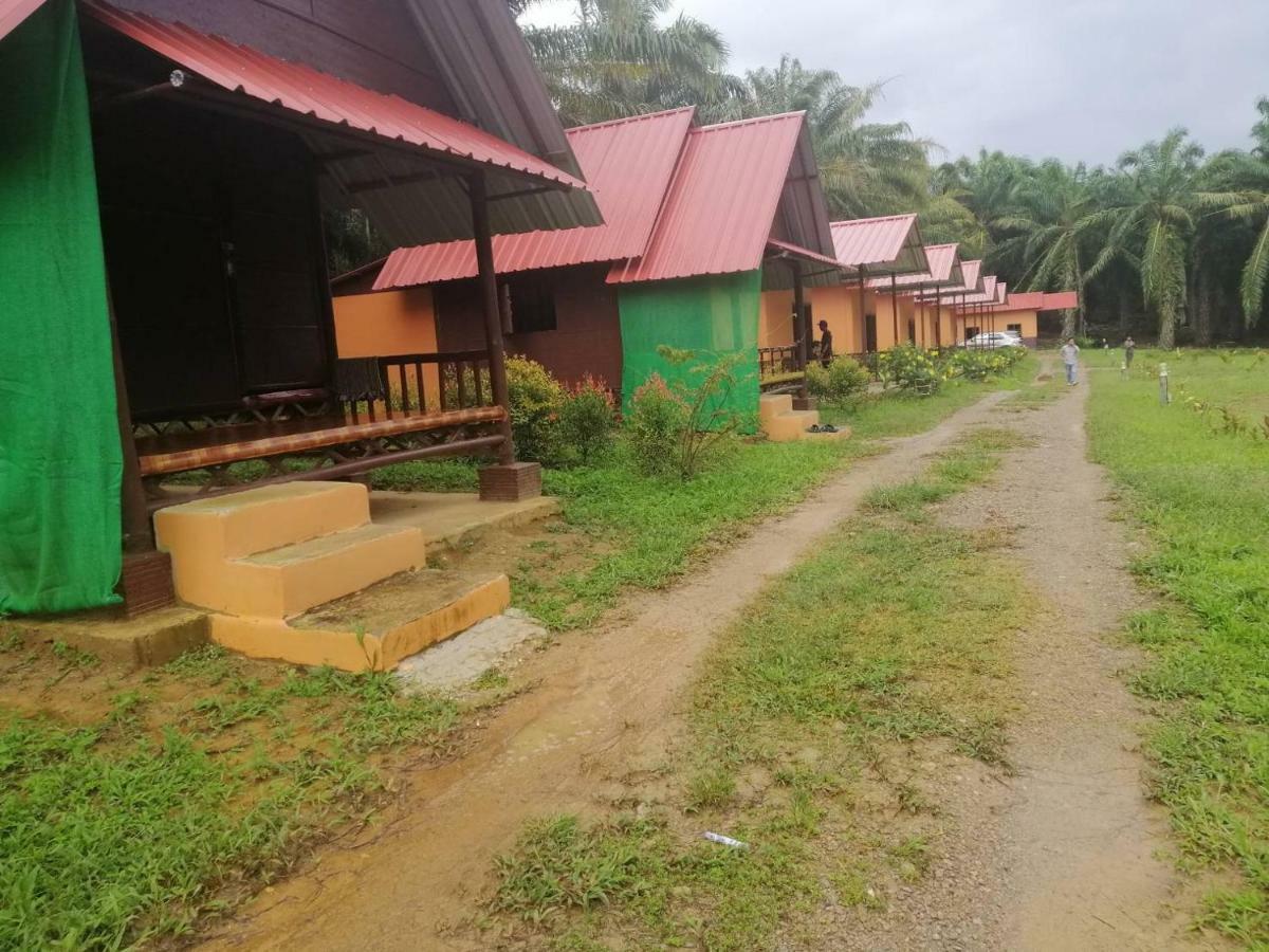 ホテル カオソック エバーグリーン ハウス Khao Sok National Park エクステリア 写真