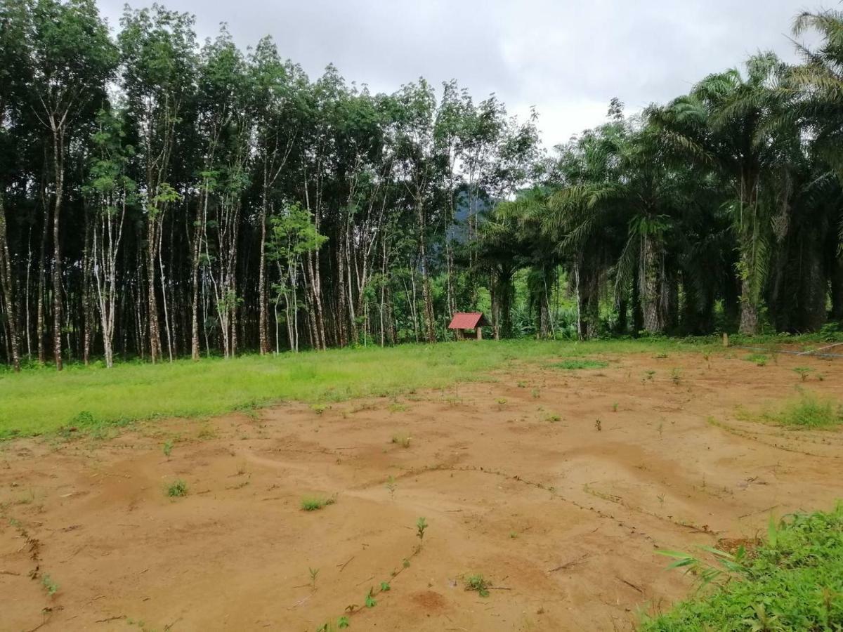 ホテル カオソック エバーグリーン ハウス Khao Sok National Park エクステリア 写真