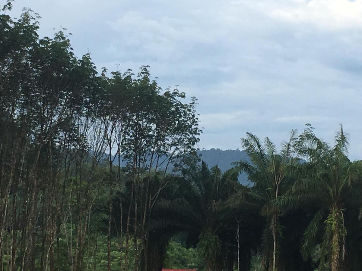 ホテル カオソック エバーグリーン ハウス Khao Sok National Park エクステリア 写真