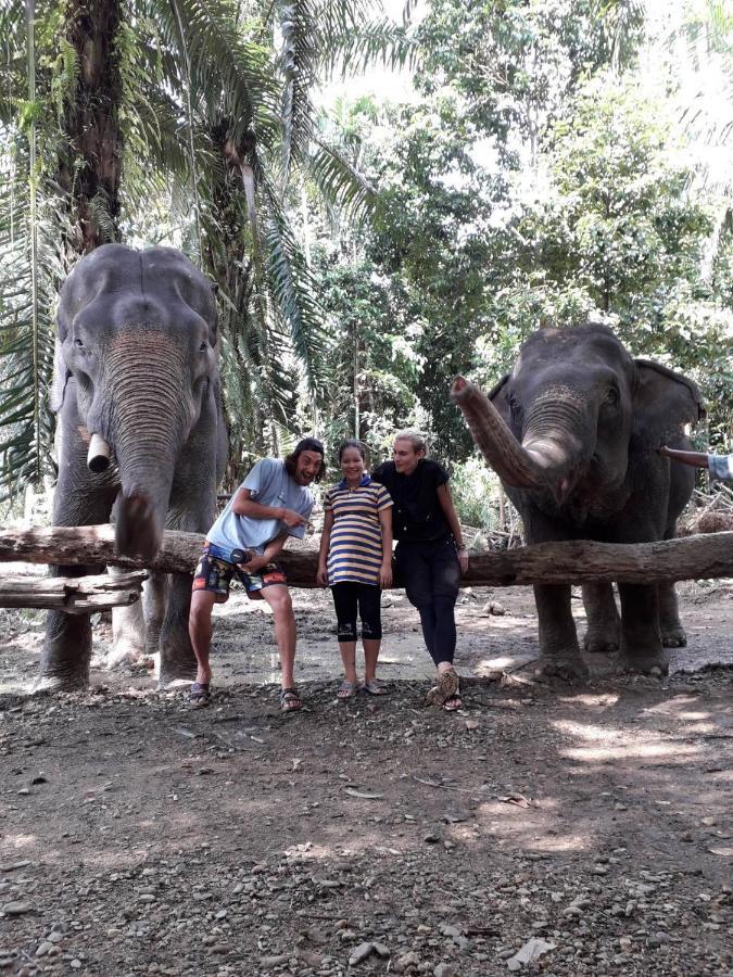 ホテル カオソック エバーグリーン ハウス Khao Sok National Park エクステリア 写真